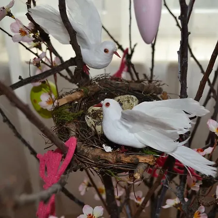 ベッド・アンド・ブレックファスト Silarus